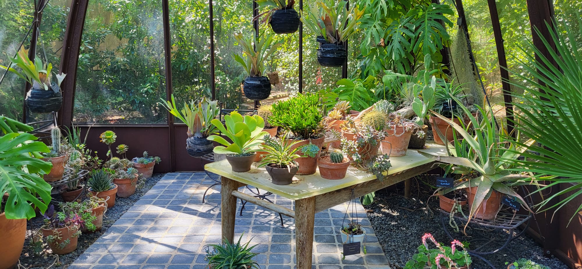 Une image illustrative